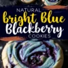 Natural bright blue blackberry cookies with vivid blue and purple swirls, surrounded by fresh blackberries on a dark background. The bold colors and juicy berry bursts create an eye-catching, delicious presentation.
