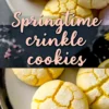 A close-up of a plate with soft, cracked crinkle cookies in pink and yellow, resting on a black marble countertop with crumbs scattered. The text overlay reads “Springtime Crinkle Cookies.”