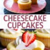 Collage showing three cheesecake cupcakes topped with whipped cream and strawberry halves on a pink plate, and a close-up of a cupcake with a bite showing creamy filling and graham cracker crust.