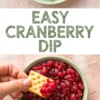 Collage with close-up views of cranberry dip in a green bowl and a hand dipping a cracker, labeled “Easy Cranberry Dip.”