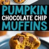 Collage showing freshly baked pumpkin chocolate chip muffins in a muffin tin on top, and a moist muffin with melted chocolate chips and a bite taken out on a blue plate below, with bold text in the center reading “Pumpkin Chocolate Chip Muffins.”