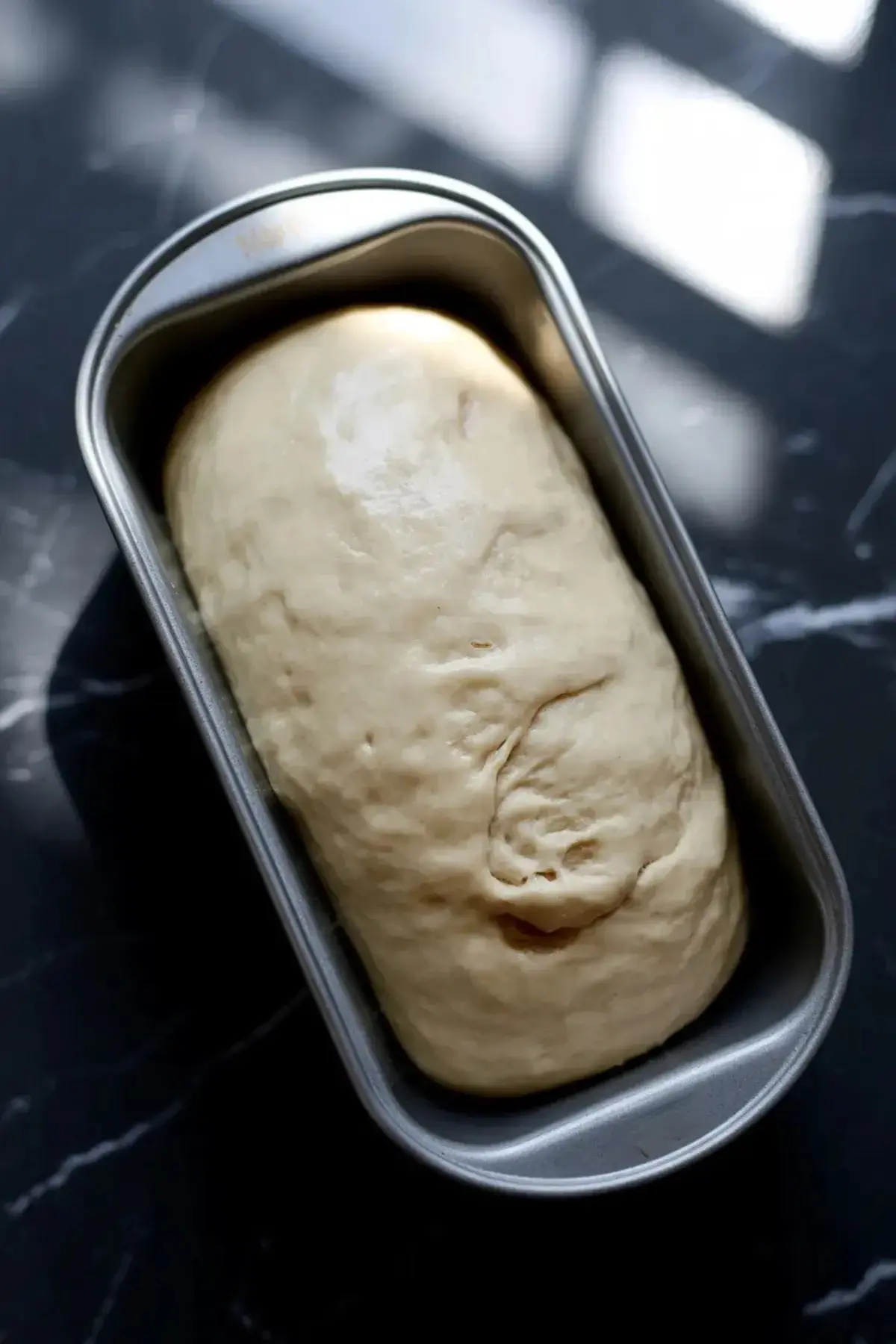 Dandelion bread dough is shaped in a loaf pan before the second rise and baking.